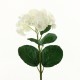 Hortensia 71cm - Blanc