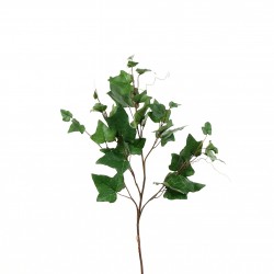 Lierre à 5 branches 46cm - Vert clair