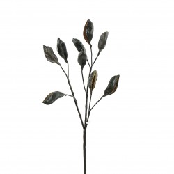 Branche avec cosses (Triple) 93cm - Marron foncé