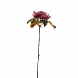 Magnolia 85cm