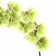 Orchidée Phalaenopsis 109cm - Vert