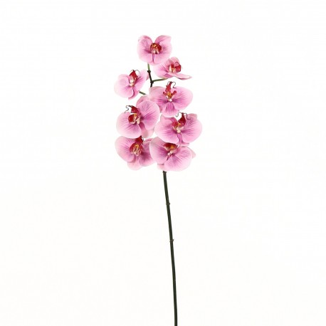 Orchidée Phalaenopsis 81cm - Rose