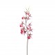 Orchidée Araignée 116 cm - Lavande