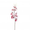 Orchidée Araignée 116 cm - Lavande