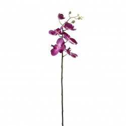 Orchidée Phalaenopsis 74cm - Fushia