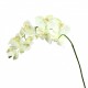 Orchidée Phalaenopsis 99cm - Blanc vert