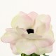 Poppy 41cm - Rose