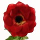 Poppy 41cm - Rouge