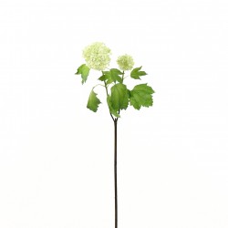 Branche de Viorne 61cm - Vert clair