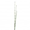 Fagot de Prêlle 122cm - Vert